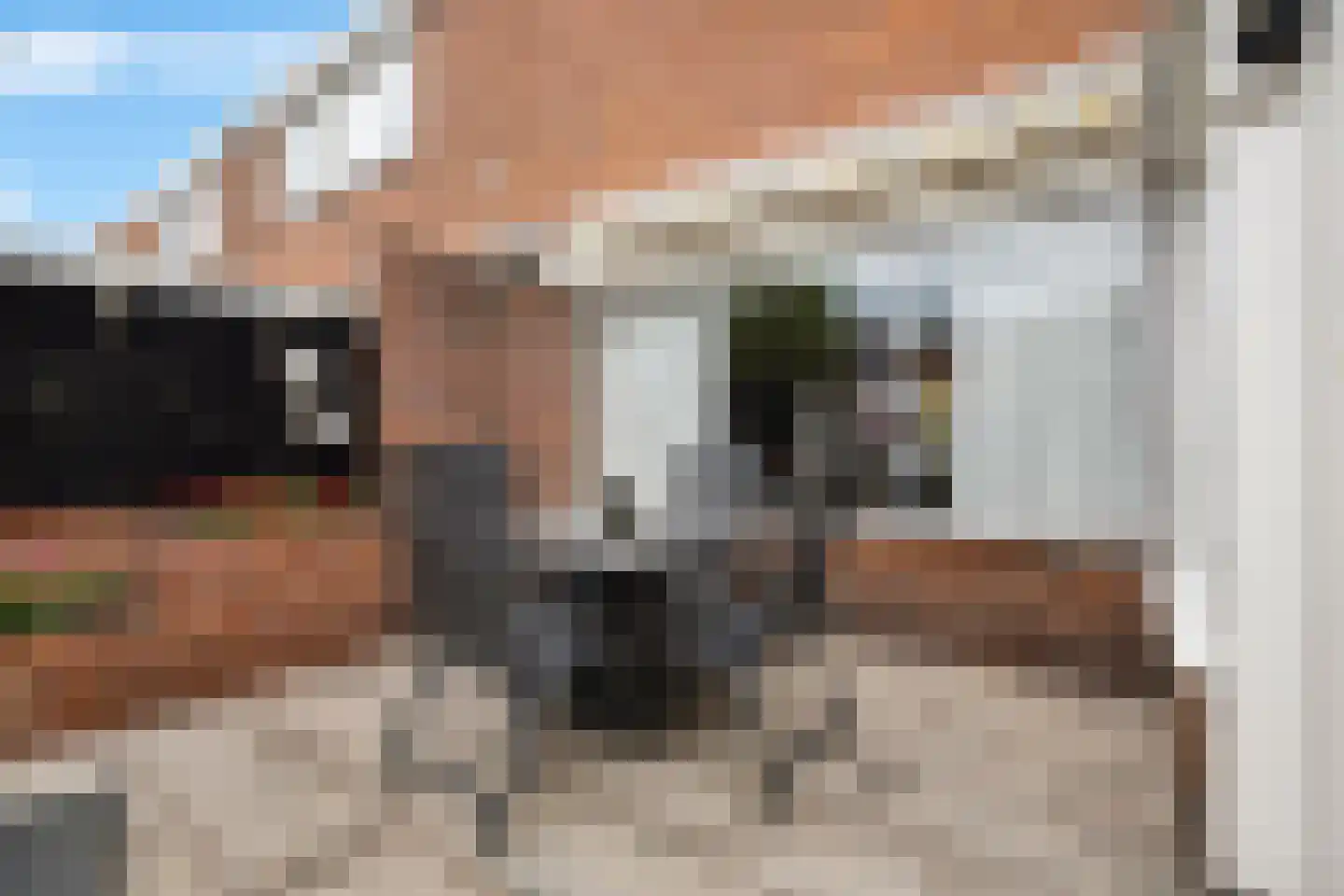 Dunningehof 9 Emmen thumbnail 30