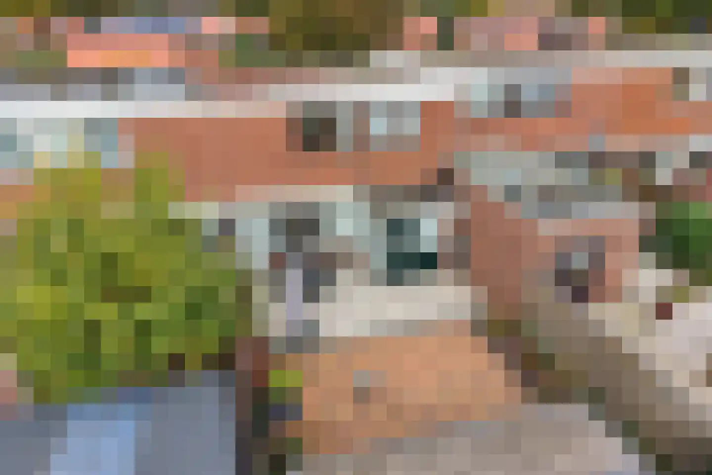 Dunningehof 9 Emmen thumbnail 39