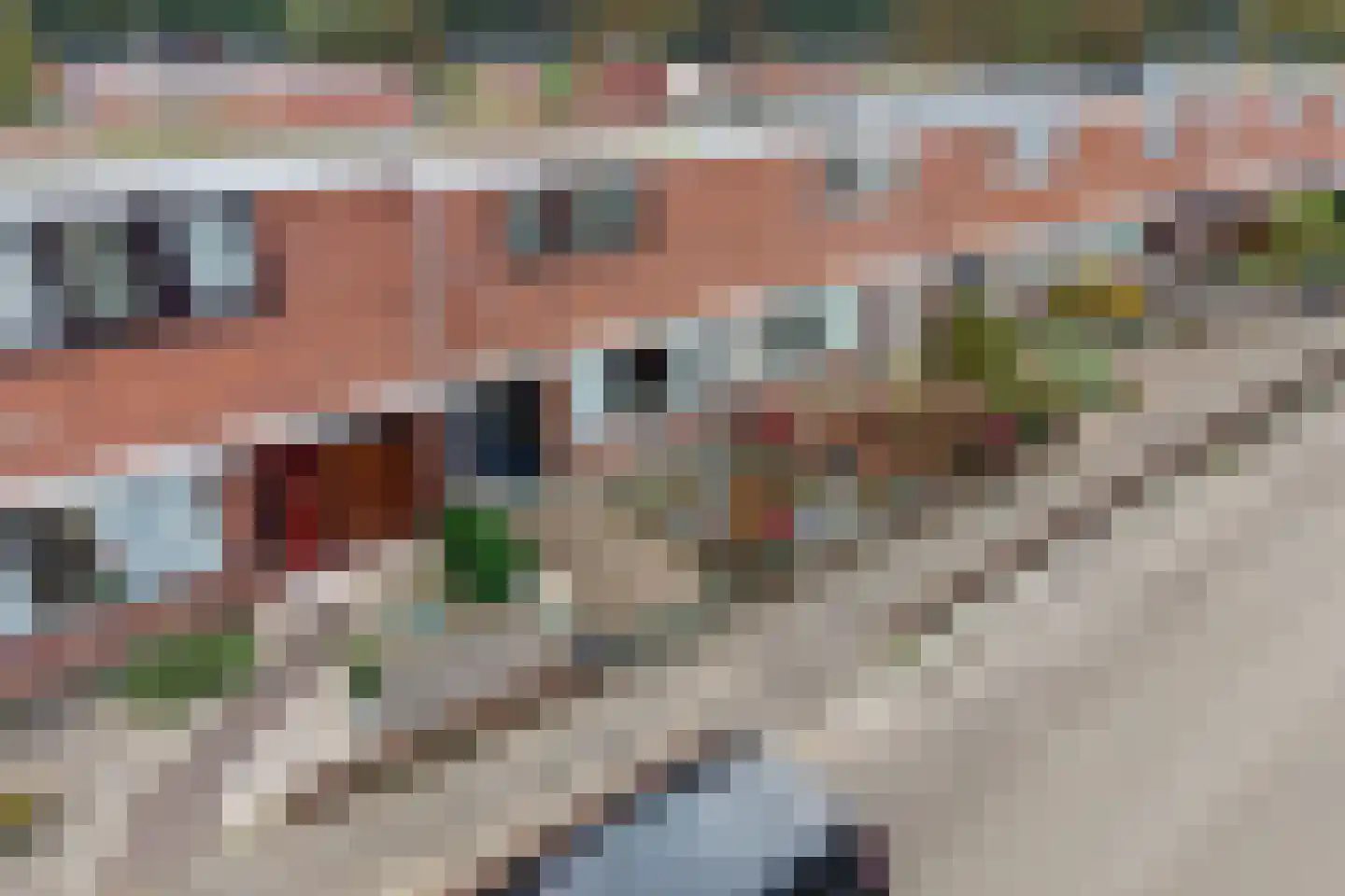 Dunningehof 9 Emmen thumbnail 42