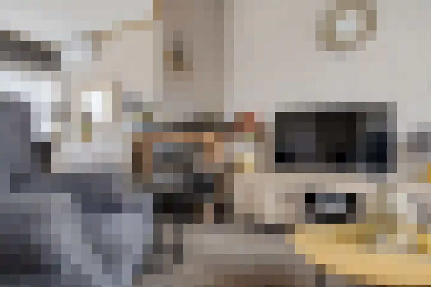 Dunningehof 9 Emmen thumbnail 7