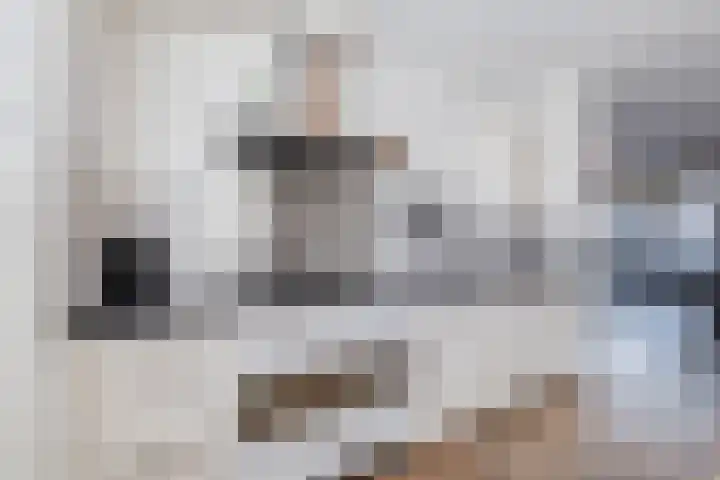 Dunningerhof 8 de Wijk thumbnail 12