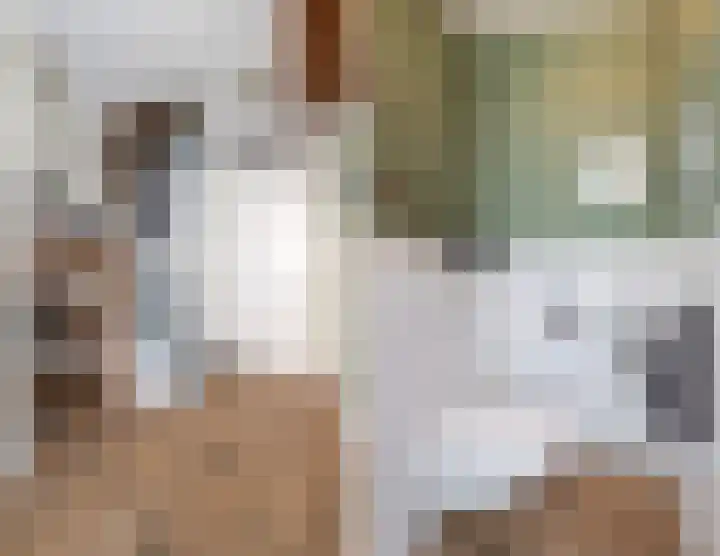 Dunningerhof 8 de Wijk thumbnail 13