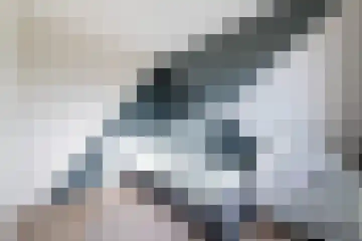 Dunningerhof 8 de Wijk thumbnail 19