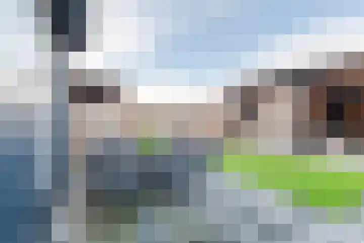 Dunningerhof 8 de Wijk thumbnail 29