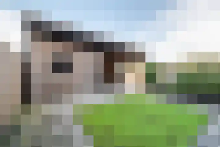 Dunningerhof 8 de Wijk thumbnail 30
