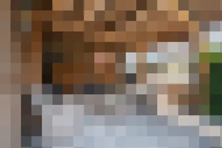Dunningerhof 8 de Wijk thumbnail 31