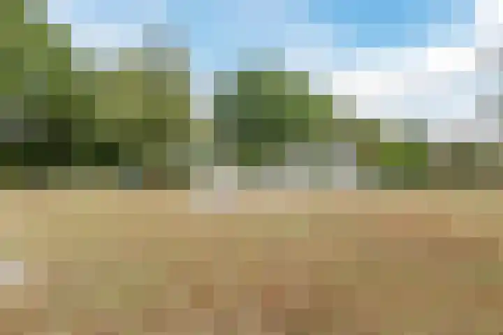 Dunningerhof 8 de Wijk thumbnail 33