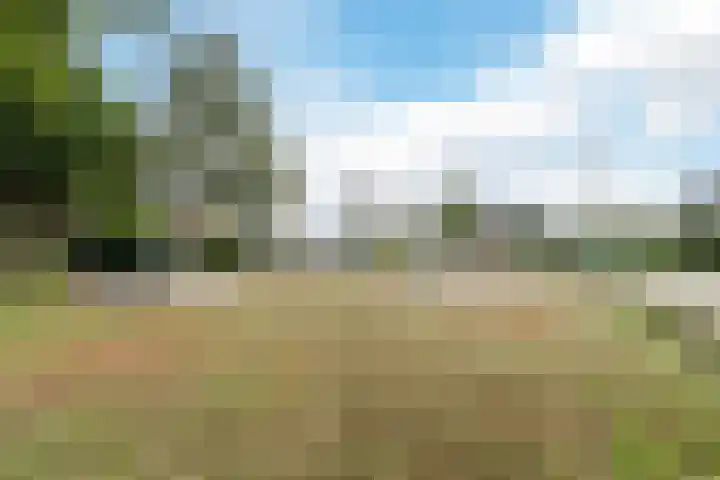 Dunningerhof 8 de Wijk thumbnail 34