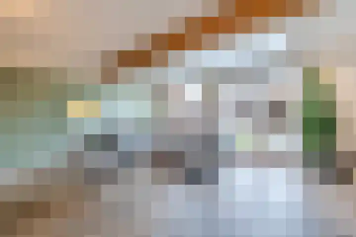 Dunningerhof 8 de Wijk thumbnail 7
