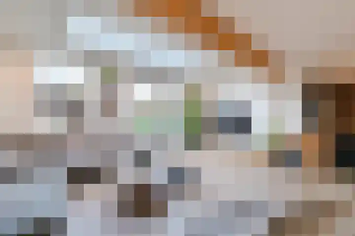 Dunningerhof 8 de Wijk thumbnail 8