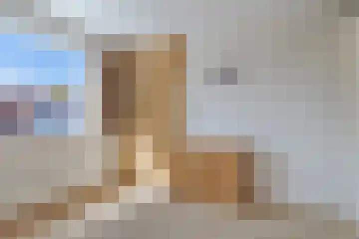 Dunningestraat 1 Assen thumbnail 20