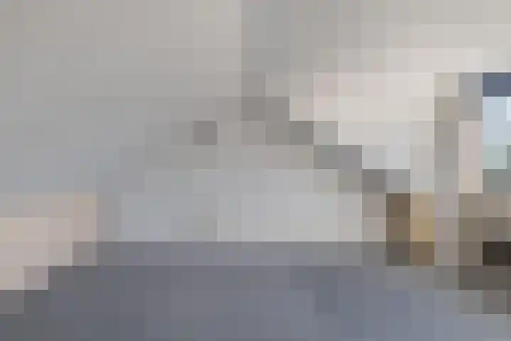 Dunningestraat 1 Assen thumbnail 25