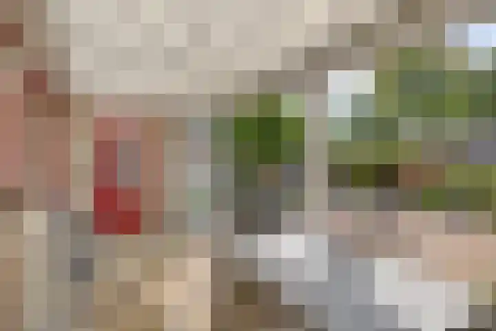 Dunningestraat 1 Assen thumbnail 28