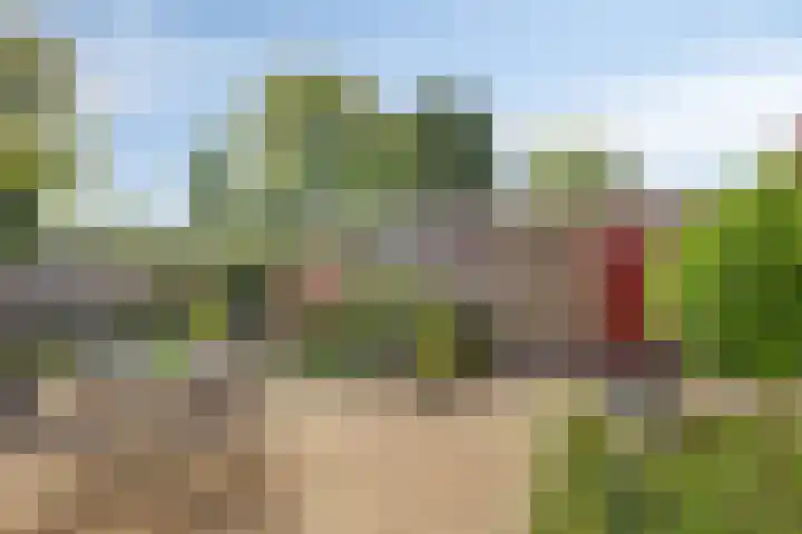 Dunningestraat 1 Assen thumbnail 31