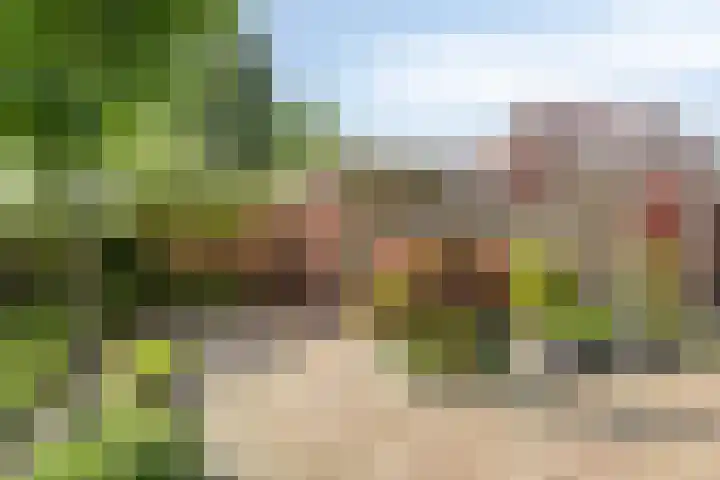Dunningestraat 1 Assen thumbnail 35