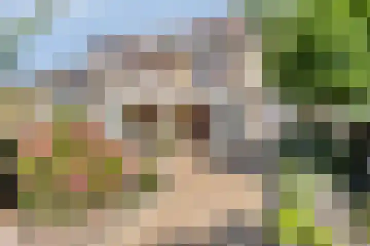 Dunningestraat 1 Assen thumbnail 36