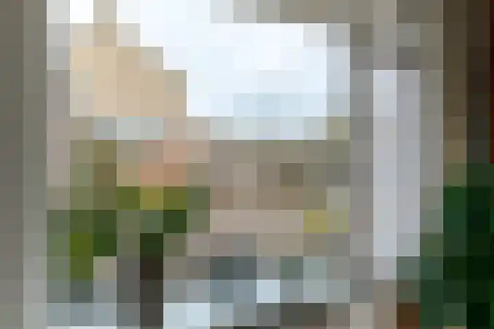 Dunningestraat 25 Assen thumbnail 14