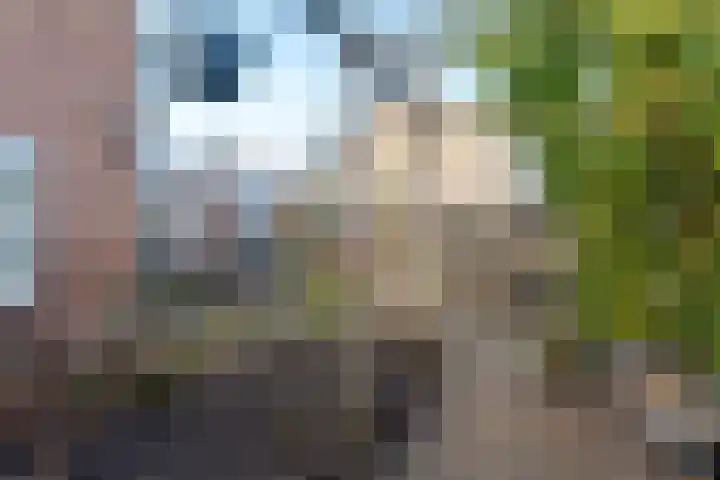 Dunningestraat 25 Assen thumbnail 46