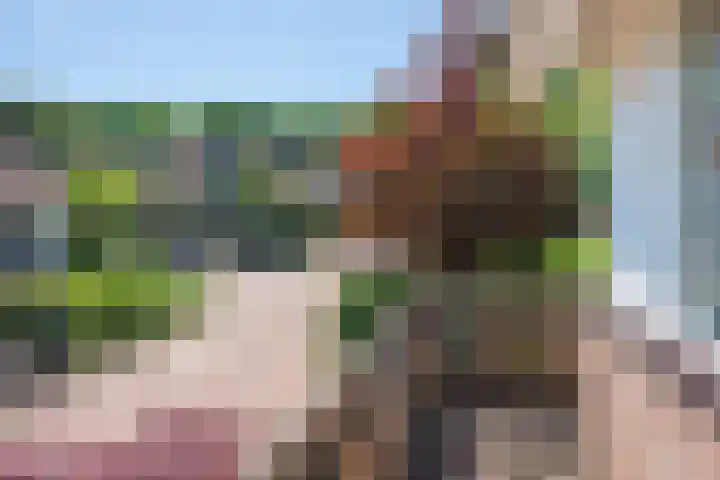 Dunolaan 33 Heveadorp thumbnail 36