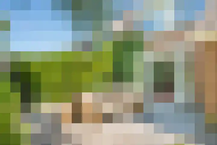 Dunolaan 33 Heveadorp thumbnail 61