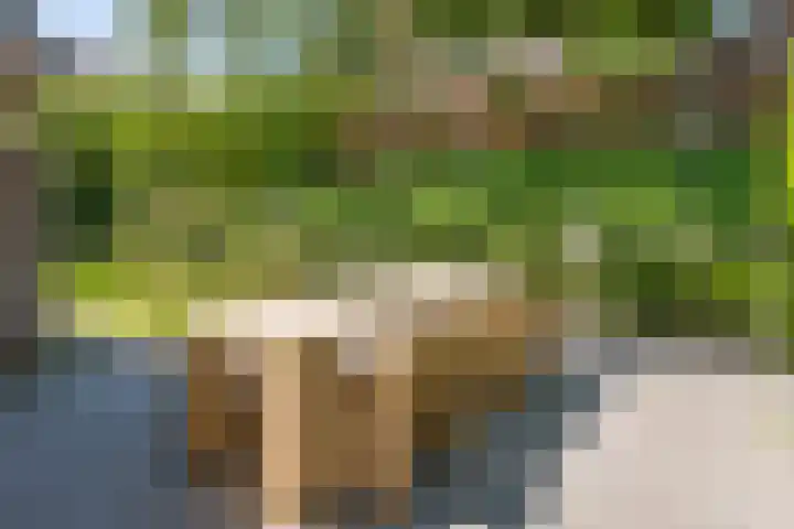 Dunolaan 33 Heveadorp thumbnail 63