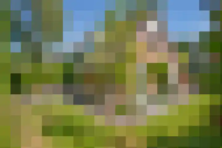 Dunolaan 33 Heveadorp thumbnail 64