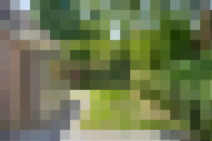 Dunolaan 33 Heveadorp thumbnail 66