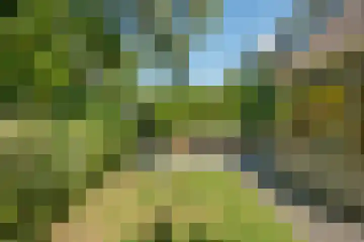 Dunolaan 33 Heveadorp thumbnail 70