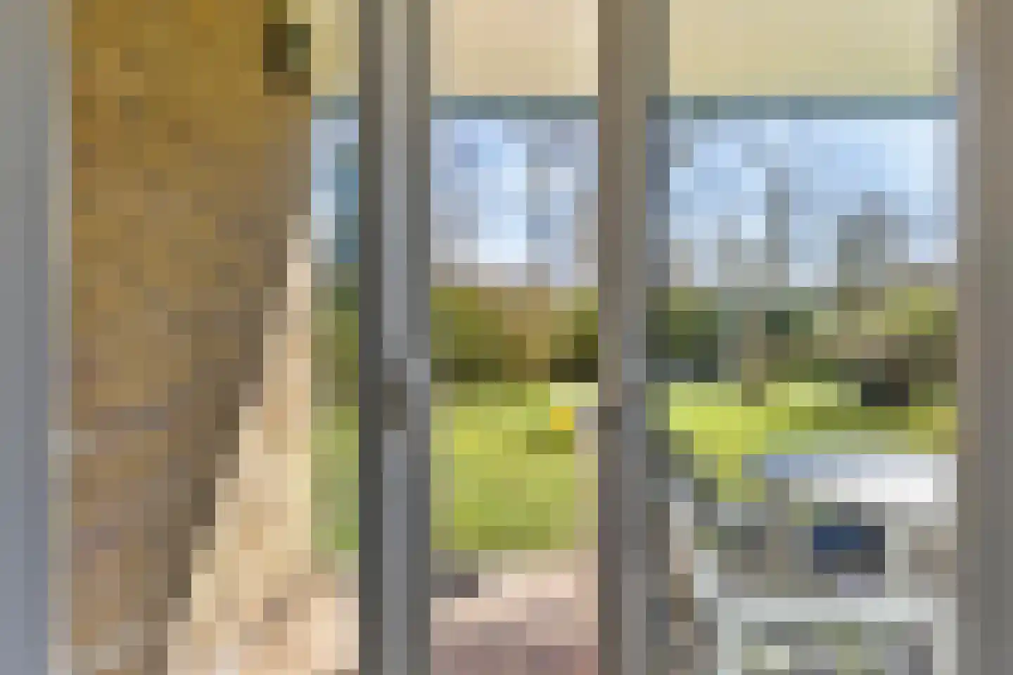 Dunopark 15 Oostkapelle thumbnail 13