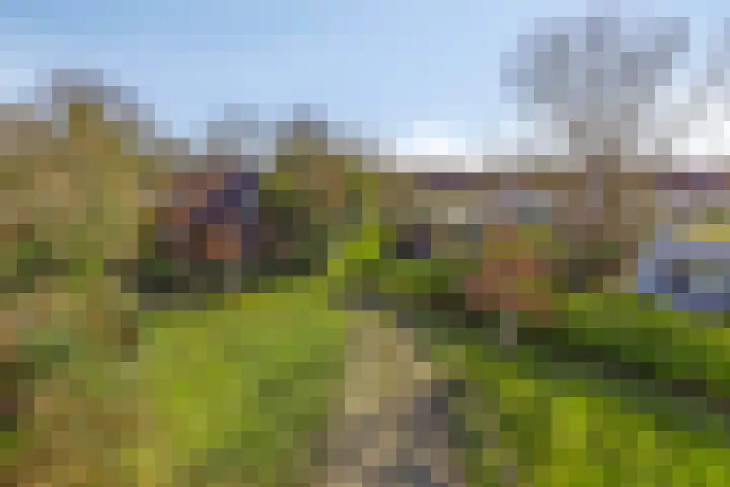 Dunopark 15 Oostkapelle thumbnail 24