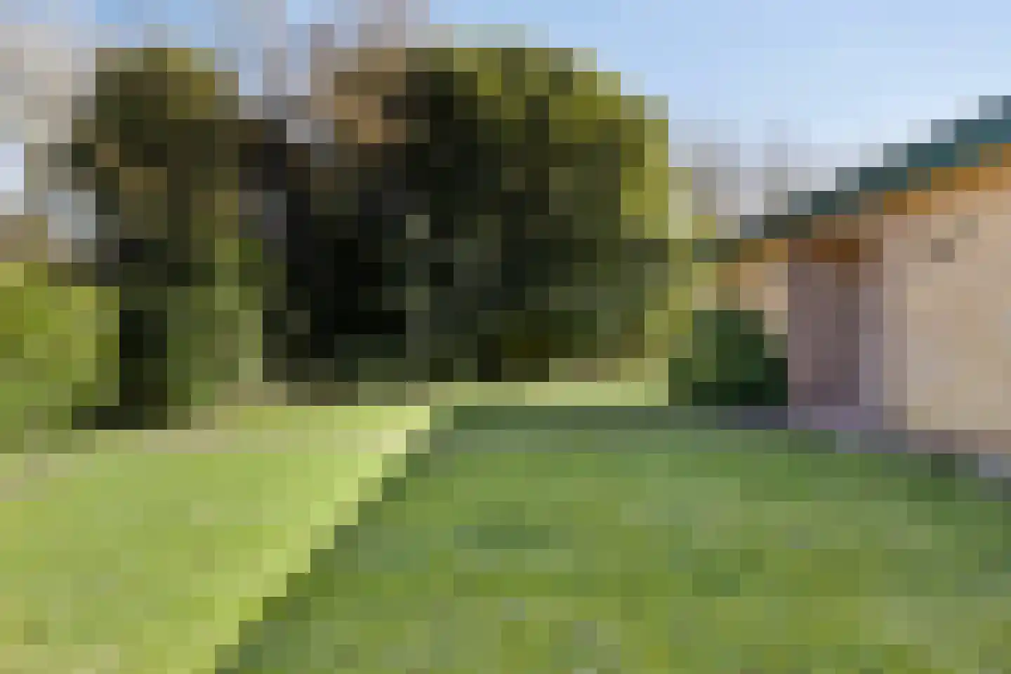 Dunopark 15 Oostkapelle thumbnail 28