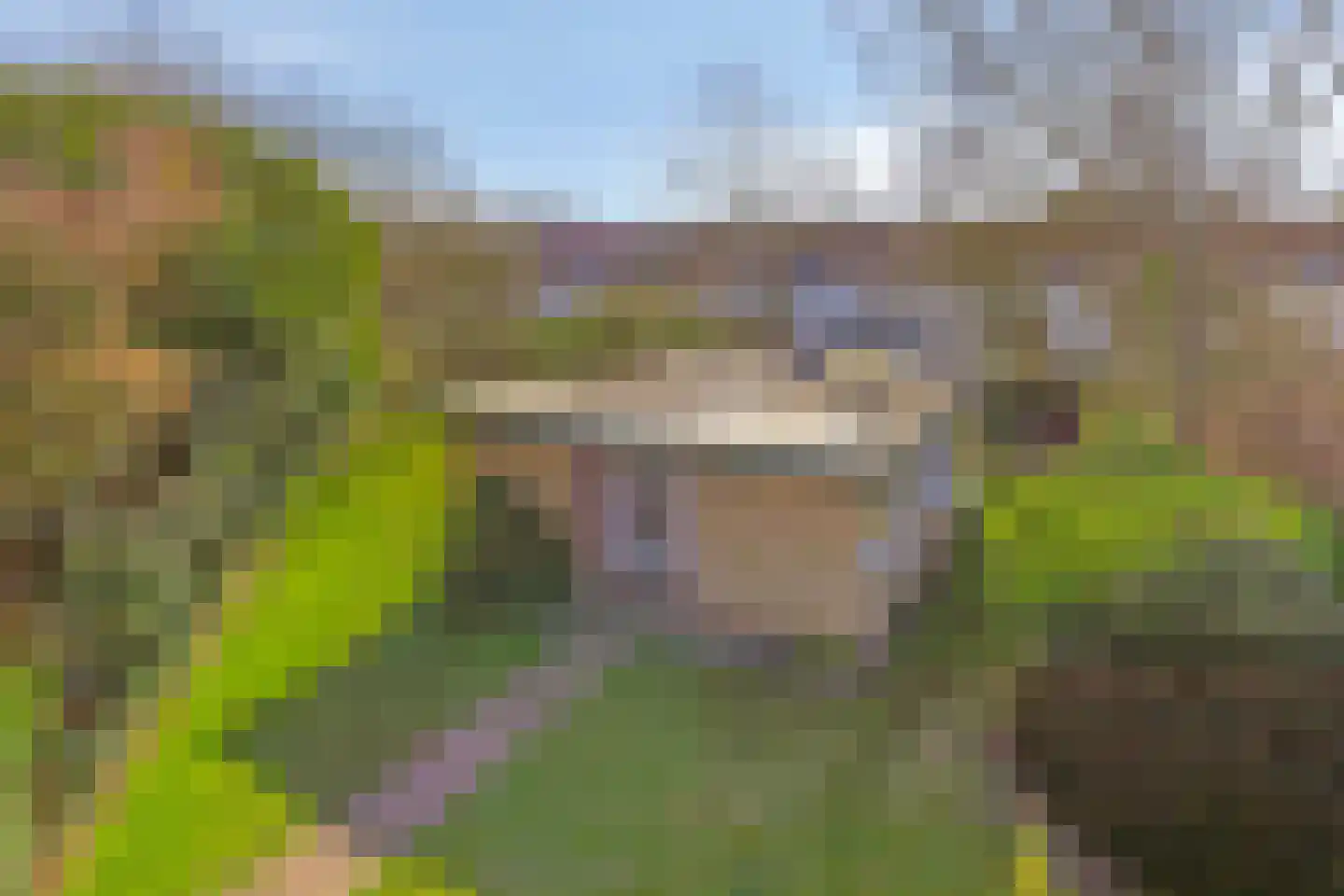 Dunopark 15 Oostkapelle thumbnail 5