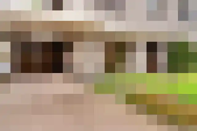 Dunselmanstraat 5 Didam thumbnail 5