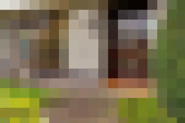 Dunselmanstraat 5 Didam thumbnail 6