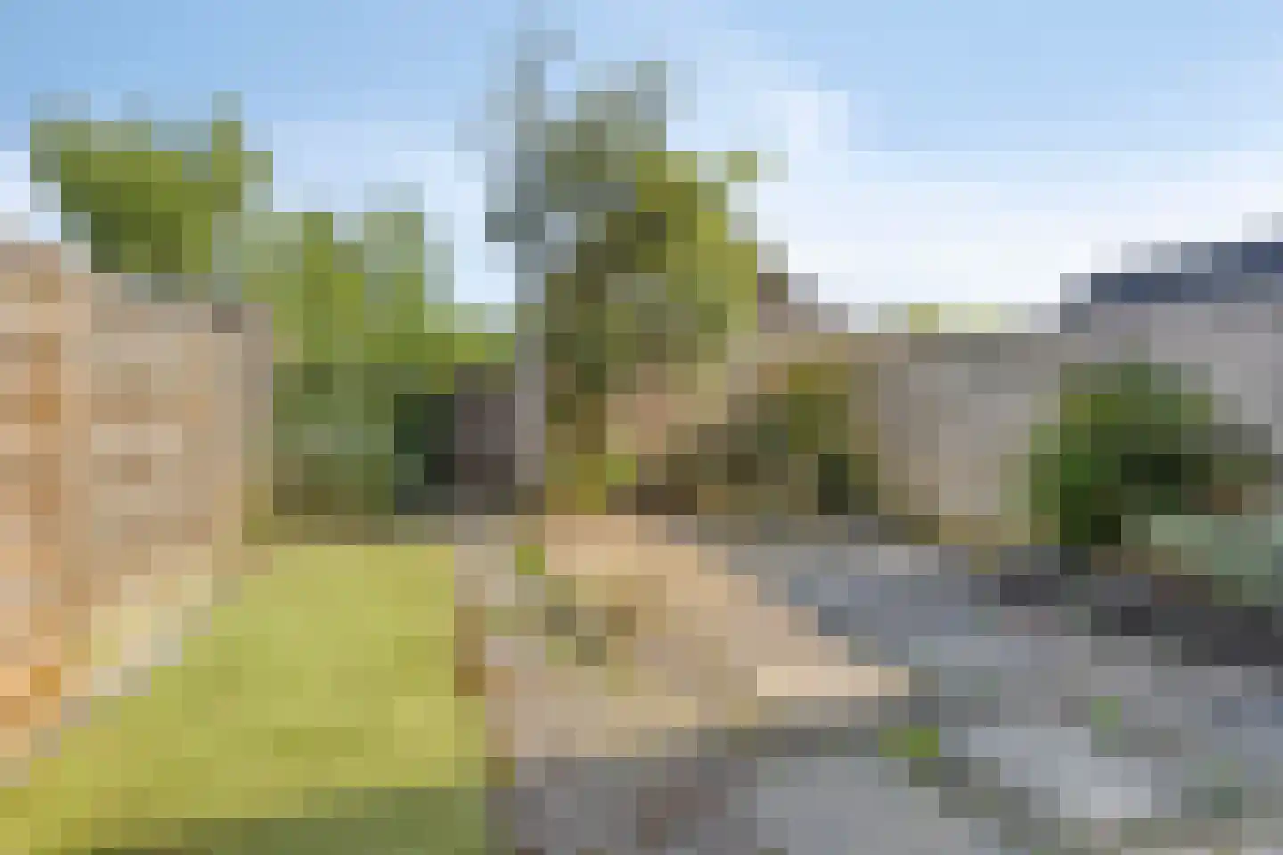 Dupondius 116 Elst thumbnail 18
