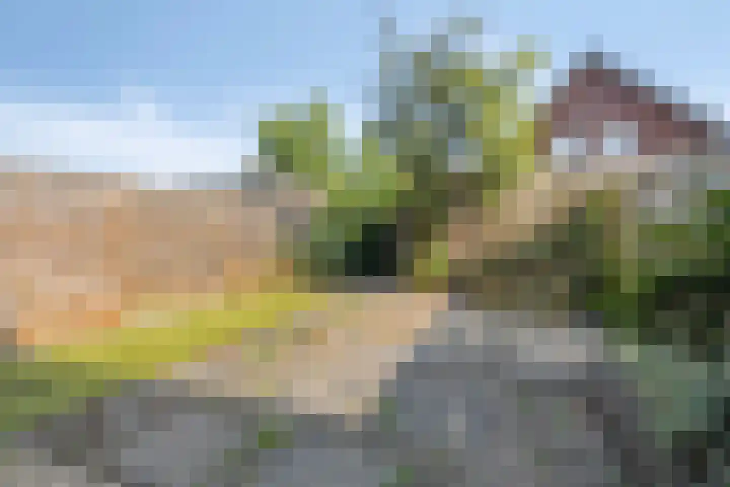 Dupondius 116 Elst thumbnail 19