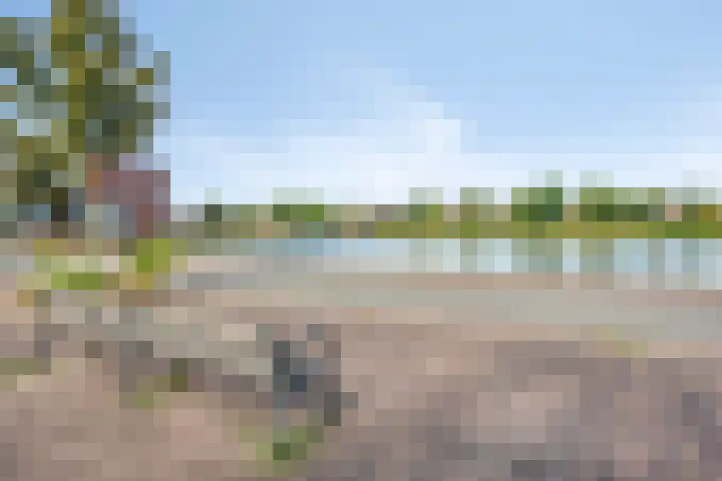 Dupondius 116 Elst thumbnail 39