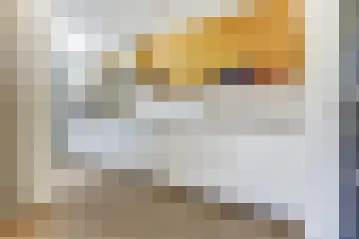 Dupontplein 12 Amersfoort thumbnail 18