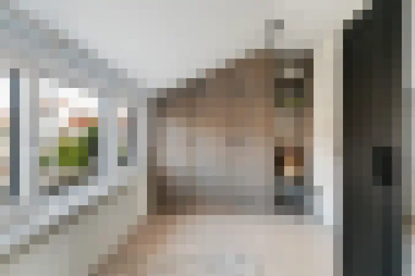 Dupperstraat 42 Dordrecht thumbnail 17