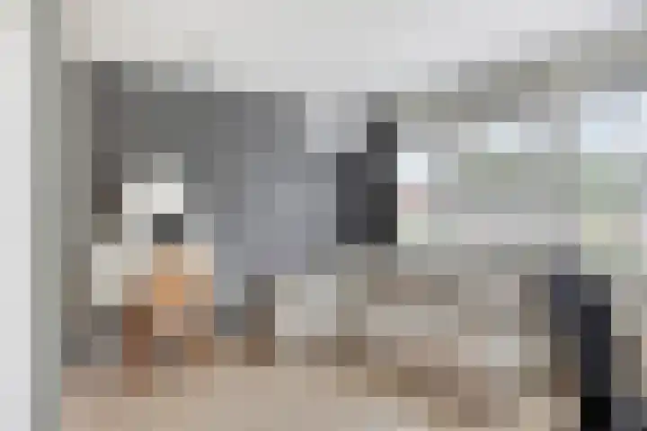 Dupuislaan 7 Eindhoven thumbnail 14