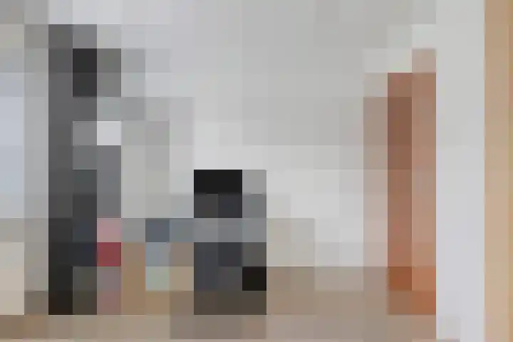 Dupuislaan 7 Eindhoven thumbnail 15