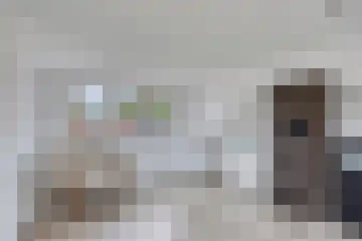 Dupuislaan 7 Eindhoven thumbnail 20