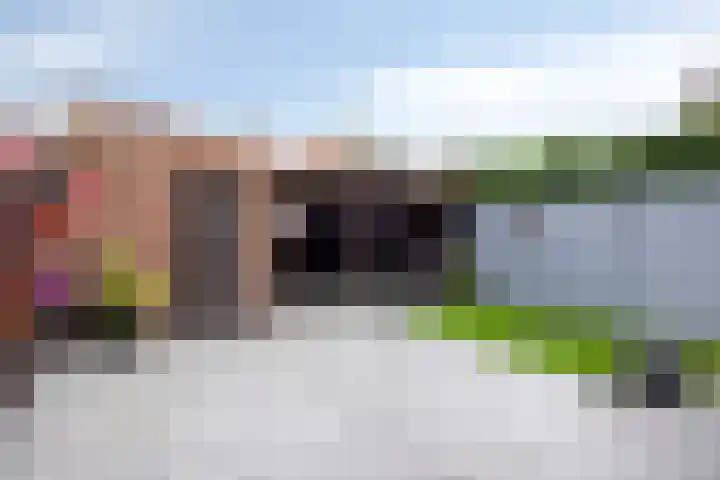Dupuislaan 7 Eindhoven thumbnail 25