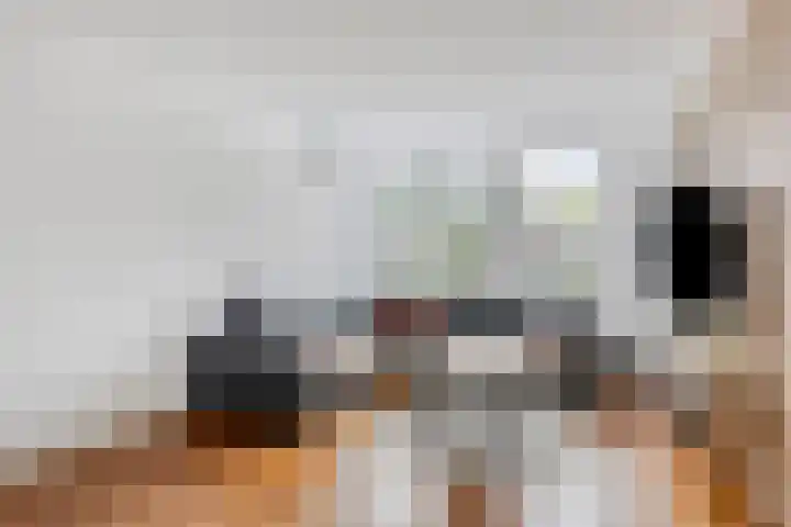 Dupuislaan 7 Eindhoven thumbnail 4