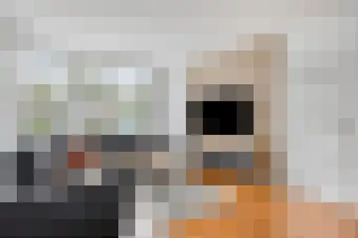 Dupuislaan 7 Eindhoven thumbnail 5