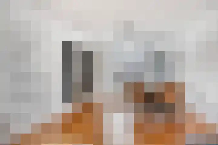 Dupuislaan 7 Eindhoven thumbnail 7