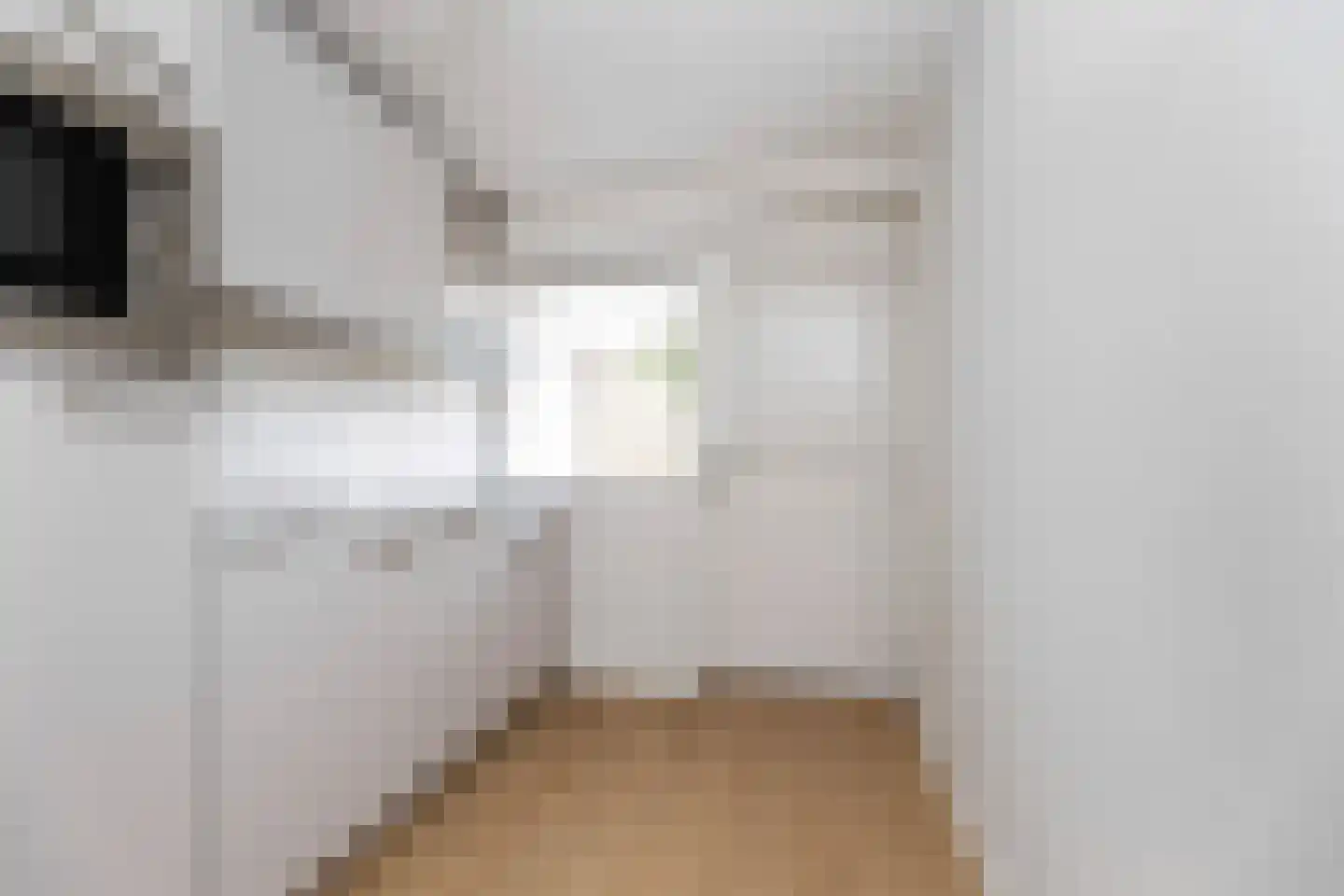 Durantestraat 12 Zwolle thumbnail 16