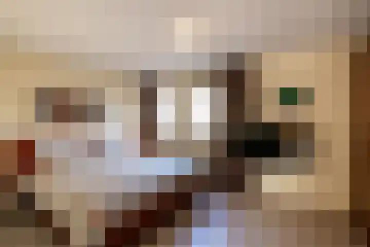 Durendaal 10 Oss thumbnail 15