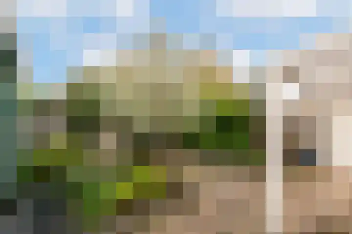 Durendaal 10 Oss thumbnail 25