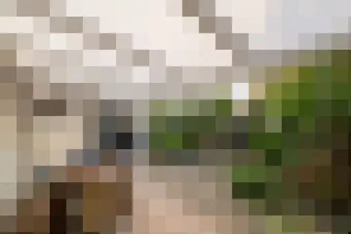 Durendaal 10 Oss thumbnail 4